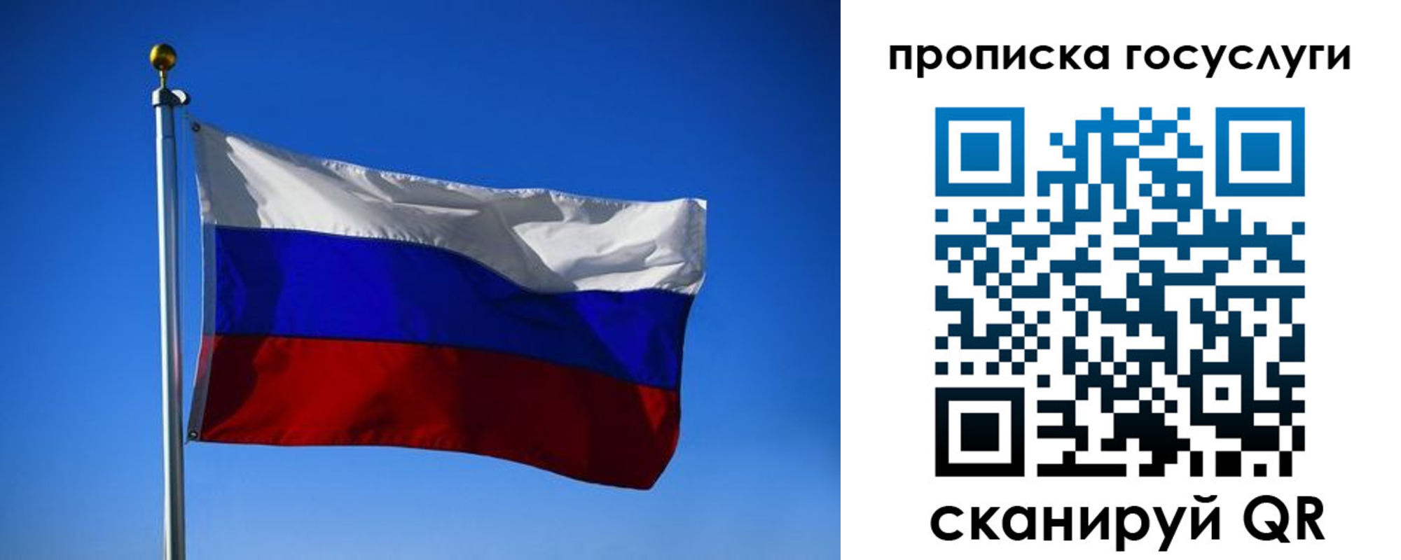 временная регистрация госуслуги в Белгородской области